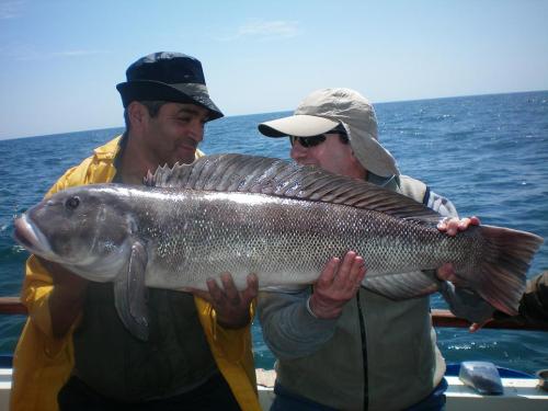 GIGANTES DEL MAR